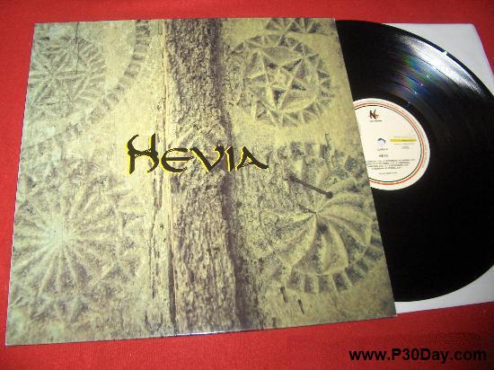 دانلود آهنگ شاد بیکلام از آهنگساز اسپانیایی – Hevia