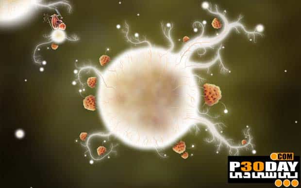 دانلود بازی Botanicula 2012 با لینک مستقیم