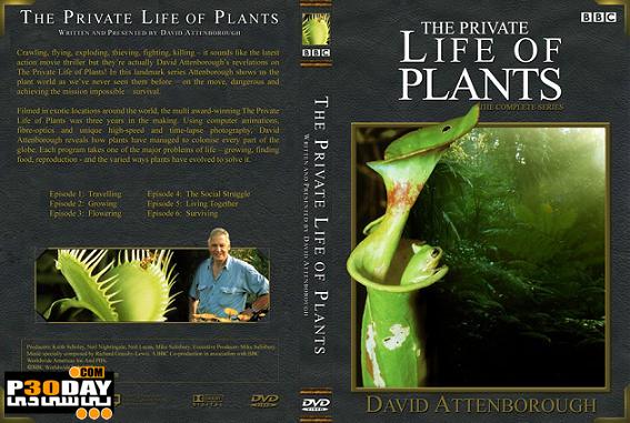 دانلود مستند زندگی خصوصی گیاهان The Private Life of Plants 1995