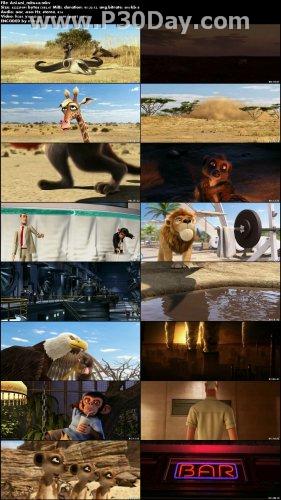 دانلود انیمیشن اتحاد حیوانات Animals United 2010 + زیرنویس فارسی