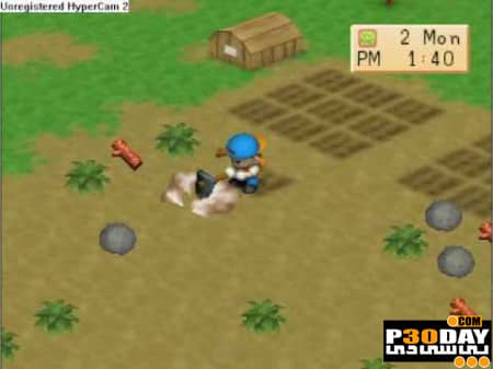 دانلود بازی Harvest Moon : Back To Nature برای PS3 با لینک مستقیم