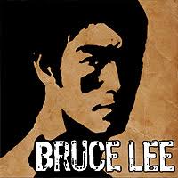 دانلود Bruce Lee Dragon Warrior HD – بازی بروس لی اندروید
