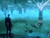 DMC (5)