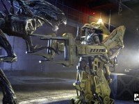 alien1
