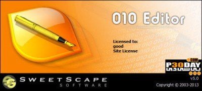 دانلود SweetScape 010 Editor 16.0.4 - ویرایش فایل باینری