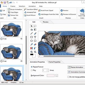 Blumentals Easy GIF Animator Pro 7.2.0.60 – طراحی انیمیشن