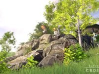 Blackwood Crossing 2