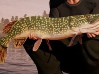 دانلود بازی Fishing Sim World Pro Tour برای کامپیوتر + آپدیت