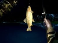 دانلود بازی ماهیگیری Ultimate Fishing Simulator کامپیوتر + آپدیت
