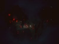 دانلود بازی Below برای کامپیوتر