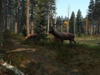 دانلود بازی DayZ برای XBOX ONE