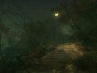 دانلود بازی The Cursed Forest برای کامپیوتر