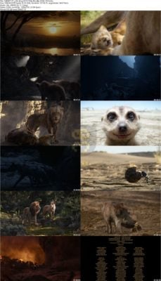 دانلود انیمیشن The Lion King 2019 با زیرنویس فارسی