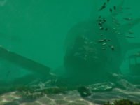 دانلود بازی Shark Attack Deathmatch 2 برای کامپیوتر