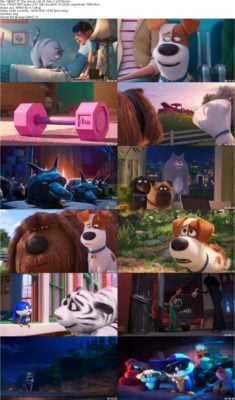 دانلود انیمیشن The Secret Life of Pets 2 2019 با زیرنویس فارسی + 4K