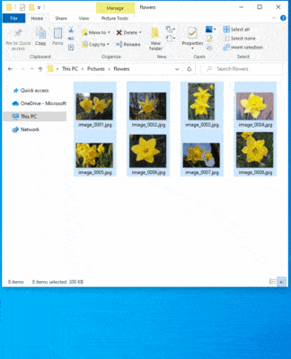 دانلود Microsoft PowerToys 10 v0.100.2 برای ویندوز 10