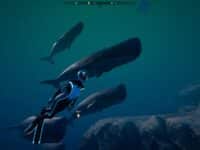 دانلود بازی Beyond Blue - The Tropical Reef برای کامپیوتر