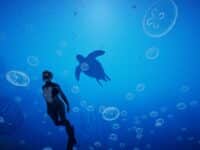 دانلود بازی Beyond Blue - The Tropical Reef برای کامپیوتر