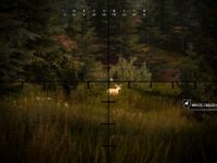دانلود بازی Hunting Simulator 2 برای کامپیوتر