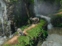 دانلود بازی SpellForce 3 Reforced برای PS4+ هک شده