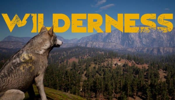 Wilderness