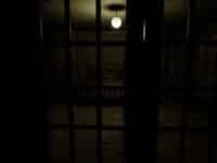 دانلود بازی Life after Death برای کامپیوتر