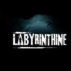 دانلود بازی Labyrinthine کامپیوتر + آپدیت v20251219