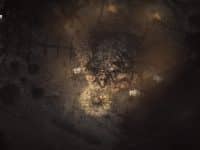 دانلود بازی Darkwood برای کامپیوتر