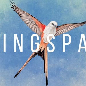 دانلود بازی Wingspan v1.8.1170 کامپیوتر