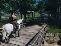 دانلود زیرنویس فارسی ساز بازی سوشیما Ghost of Tsushima برای PS4