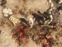 دانلود بازی Mortal Darkness برای کامپیوتر