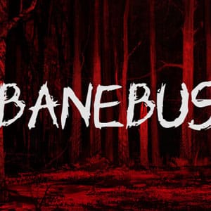 دانلود بازی Banebush برای کامپیوتر + آپدیت v1.3.001