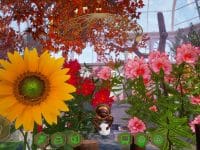 دانلود بازی Bee Simulator The Hive برای کامپیوتر