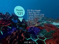 دانلود بازی Ecosystem برای کامپیوتر