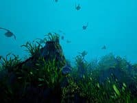 دانلود بازی Ecosystem برای کامپیوتر
