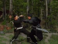 دانلود بازی Shaolin vs Wutang Legends برای کامپیوتر