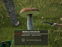 دانلود بازی Mushroom Hunter World برای کامپیوتر