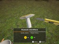 دانلود بازی Mushroom Hunter World برای کامپیوتر