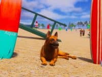 دانلود بازی Lost Paws برای کامپیوتر
