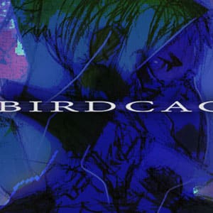 دانلود بازی BIRDCAGE برای کامپیوتر