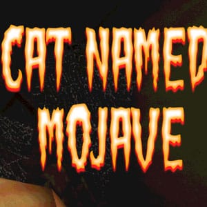 دانلود بازی Cat Named Mojave برای کامپیوتر