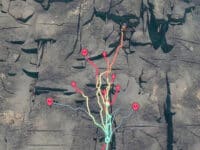 دانلود بازی Cairn v1.1.393 برای کامپیوتر