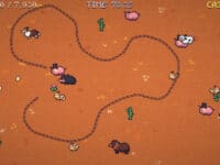 دانلود بازی Wrangle Ranch برای کامپیوتر