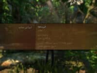 دانلود زیرنویس فارسی ساز بازی Uncharted The Nathan Drake Collection