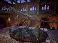 دانلود بازی DinoBones Tidy Up the Museum برای کامپیوتر