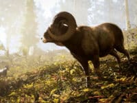 دانلود بازی Hunting Simulator 3 برای کامپیوتر