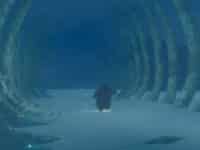 دانلود بازی Penguin Colony برای کامپیوتر