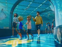 دانلود بازی Planet Zoo 2 برای کامپیوتر
