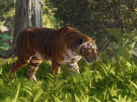 دانلود بازی Planet Zoo 2 برای کامپیوتر